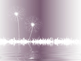 Image showing dandelion