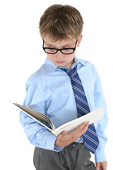 Image showing Student reading or studying