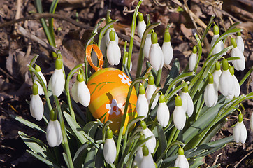 Image showing snowflakes blooms flowers in spring and easter egg 