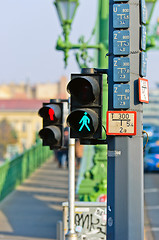 Image showing Pedestrian lamp in the city