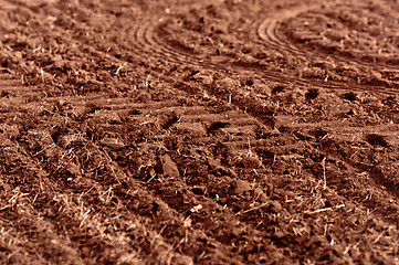 Image showing Dry soil with dead plants