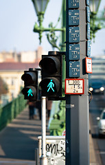 Image showing Pedestrian lamp in the city