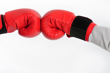 Image showing Boxing gloves