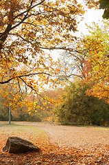 Image showing Scene at the park