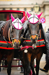 Image showing Traditional horse transport