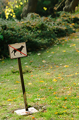 Image showing do not walk your dog here