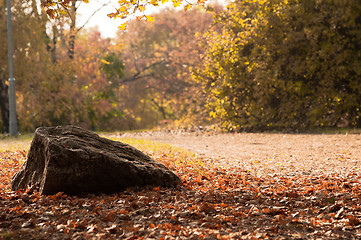 Image showing Scene at the park