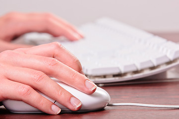 Image showing Hands of a woman using mouse and keyboard