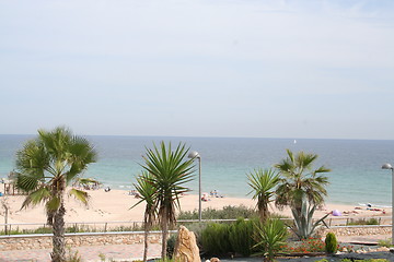 Image showing The Mediterranean with palms in front of the picture