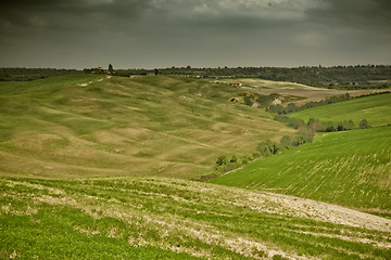 Image showing Typical Tuscan landscape