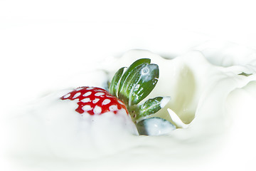 Image showing strawberry splashing into milk