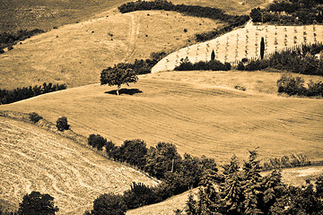 Image showing Typical Tuscan landscape