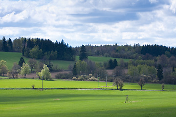 Image showing green field