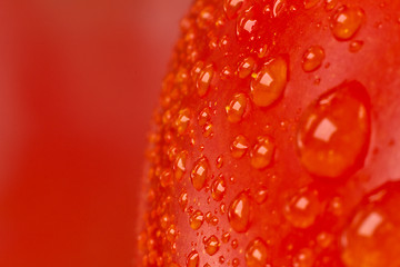 Image showing tomato closeup