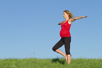 Image showing pregnant woman on meadow