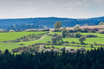 Image showing green field