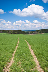 Image showing green field