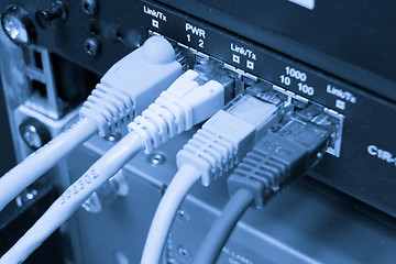 Image showing ethernet cables