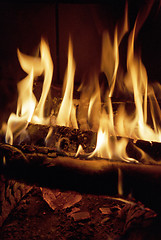 Image showing Open fire