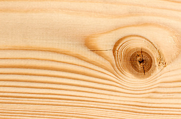 Image showing bitches on a wooden board background