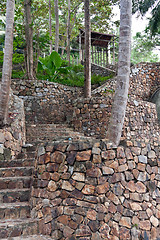 Image showing stone staircase in the jungles