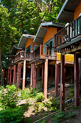 Image showing house in a tropical forest