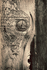 Image showing old wood texture