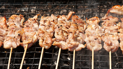 Image showing raw kebabs on the grate for grilling