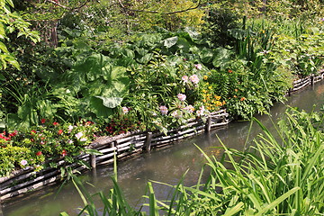 Image showing river in the garden