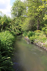 Image showing river in the garden