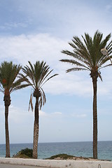 Image showing The sea Costa Blanca