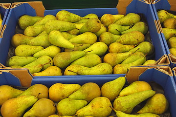 Image showing Pear display, étalage de poires