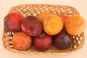 Image showing Basket with spanish plums