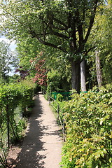 Image showing flower garden in spring