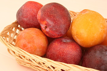 Image showing Red and yellow plums