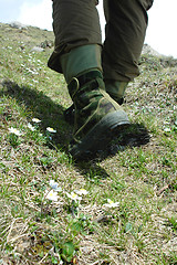 Image showing Hiking feet