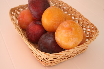 Image showing Spanish plums in two colours