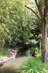 Image showing river in the garden