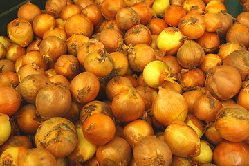 Image showing Display onion, etalage d oignons