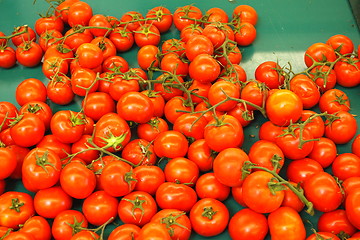 Image showing Display tomato