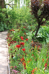 Image showing flower garden in spring