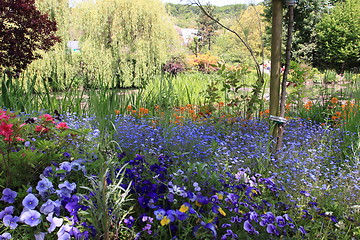 Image showing flower garden in spring