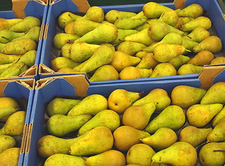 Image showing Pear display, étalage de poires