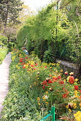 Image showing flower garden in spring