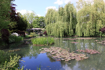 Image showing river in the garden