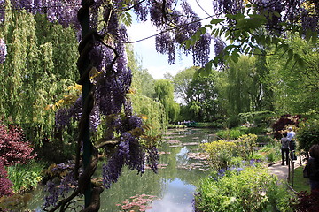 Image showing river in the garden