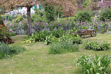 Image showing flower garden in spring