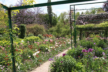 Image showing flower garden in spring