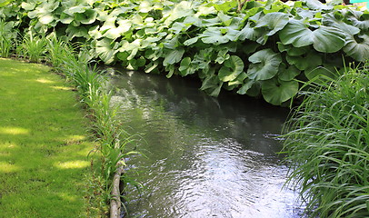 Image showing river in the garden