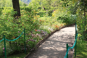 Image showing flower garden in spring